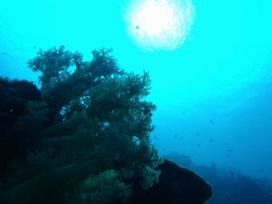 海に溶ける太陽イラク640.jpg